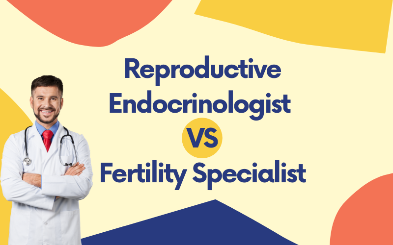 reproductive-endocrinologist-vs-fertility-specialist