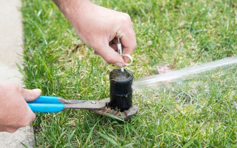 sprinkler-heads