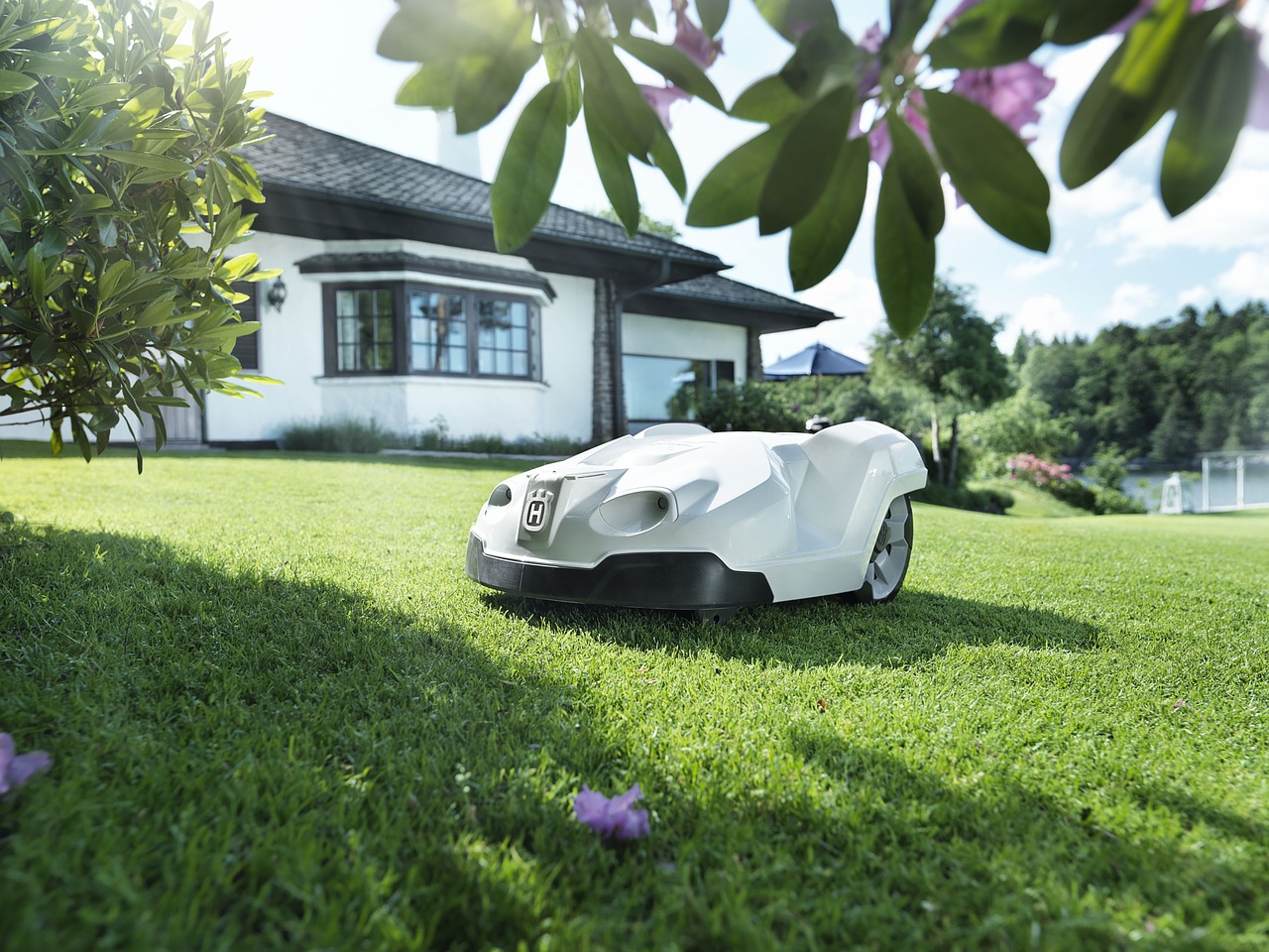 Tech Gadgets for Lawns and Gardens