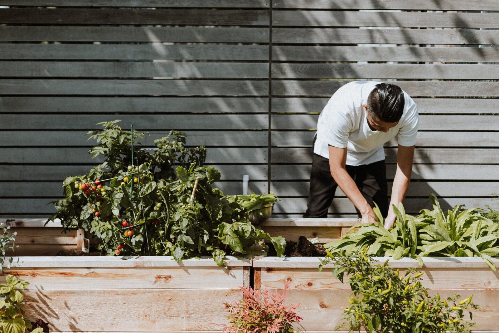 garden containers